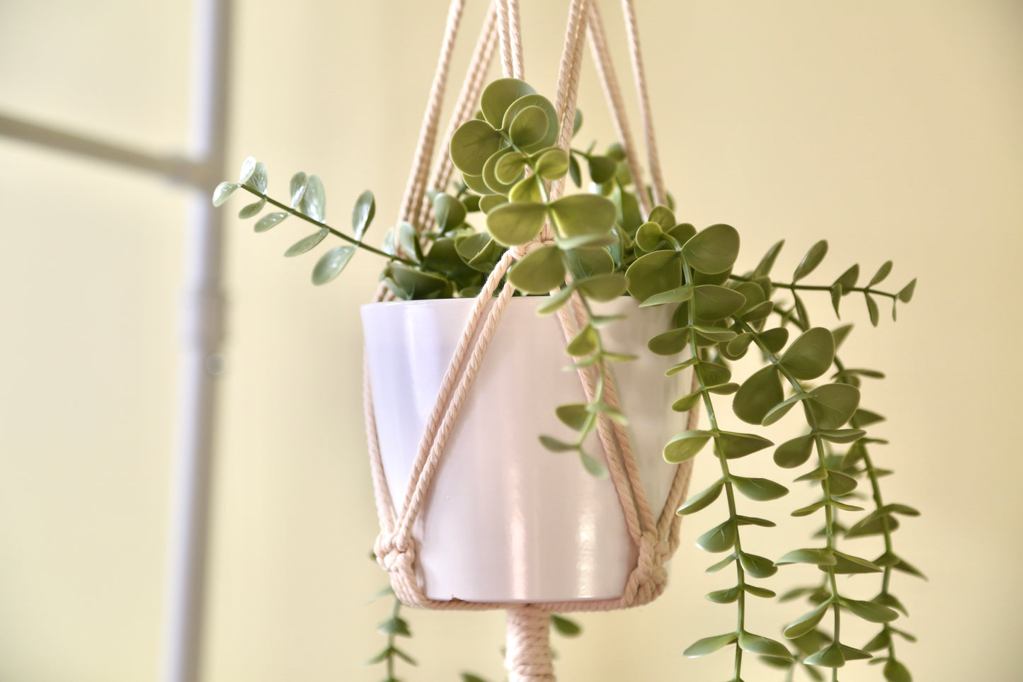 Macrame Plant Holder - C