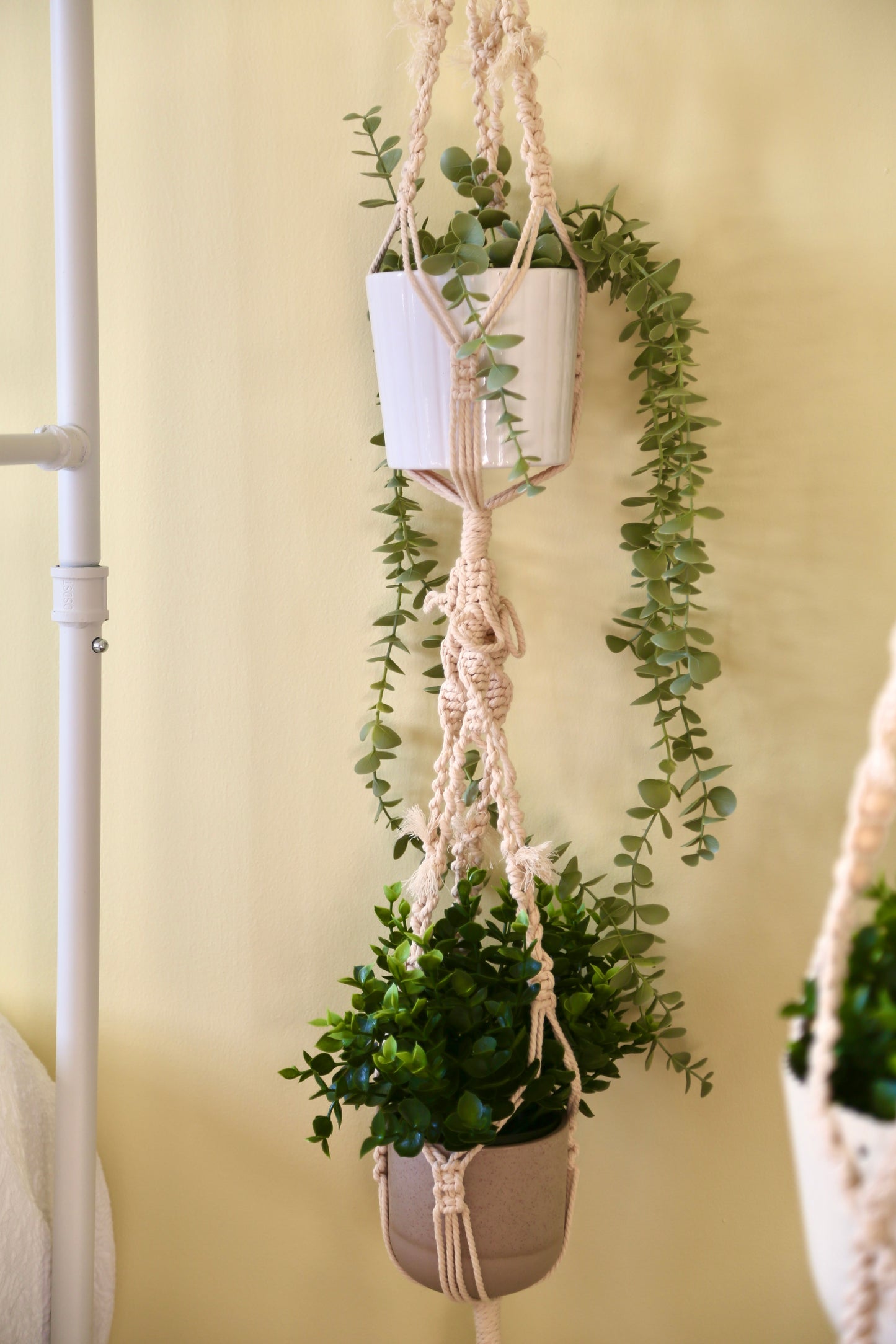 Macrame Plant Holder - H