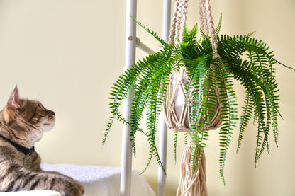 Macrame Plant Holder - G