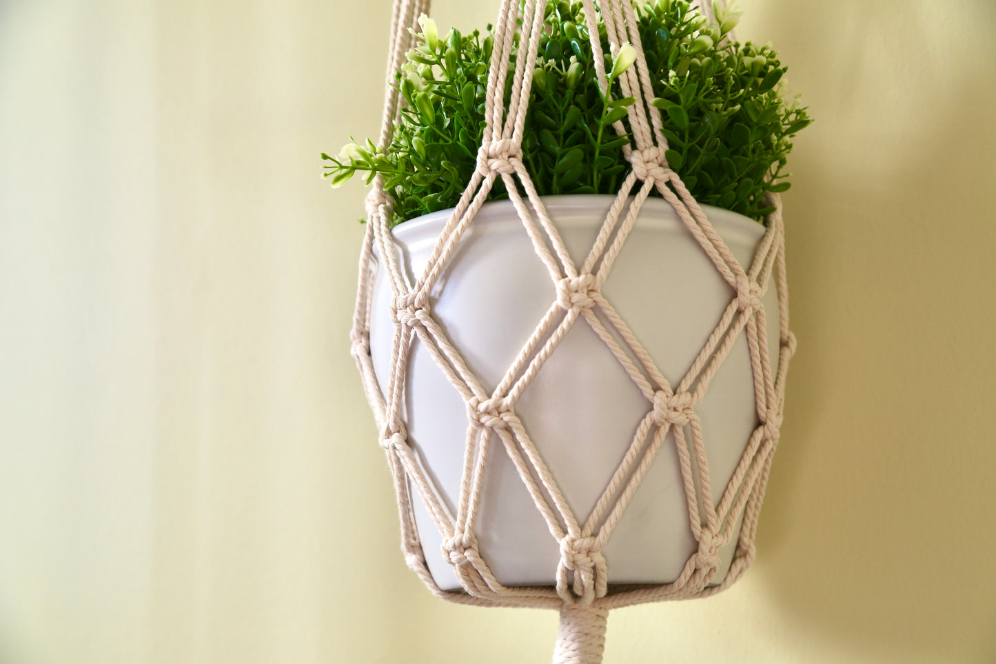 Macrame Plant Holder - A