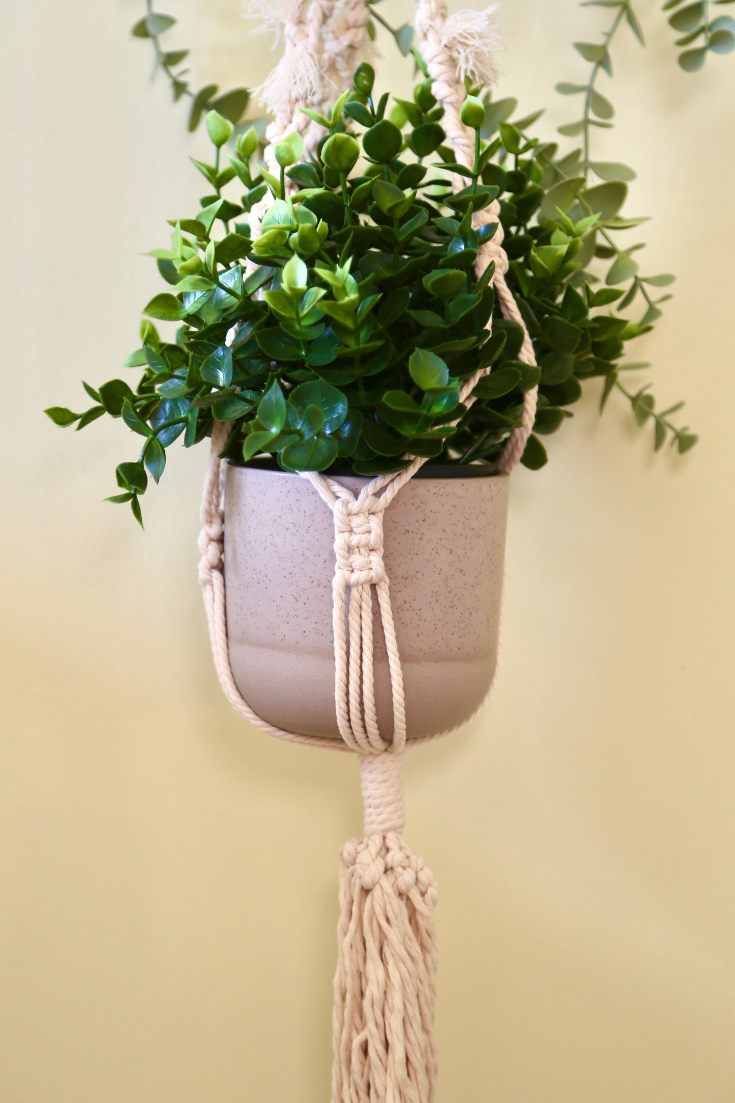 Macrame Plant Holder - H