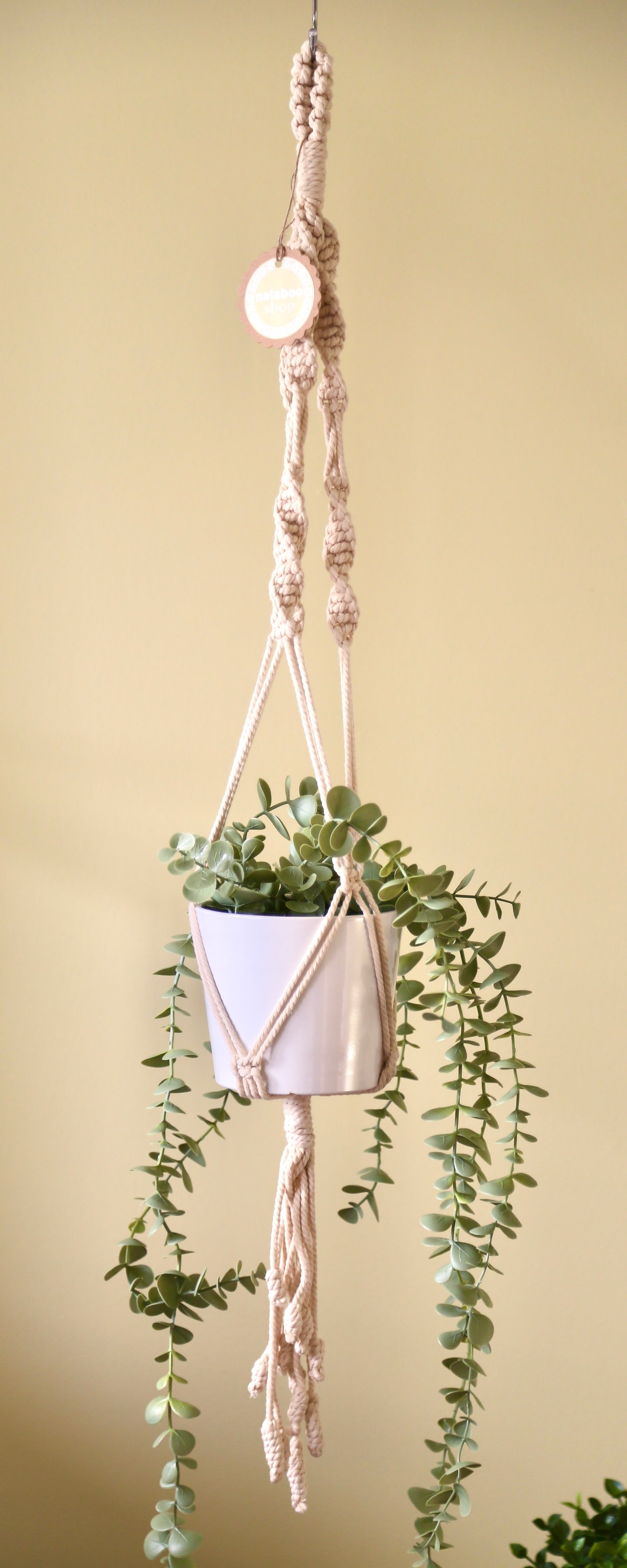 Macrame Plant Holder - C