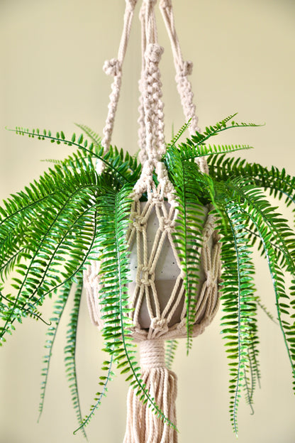 Macrame Plant Holder - G