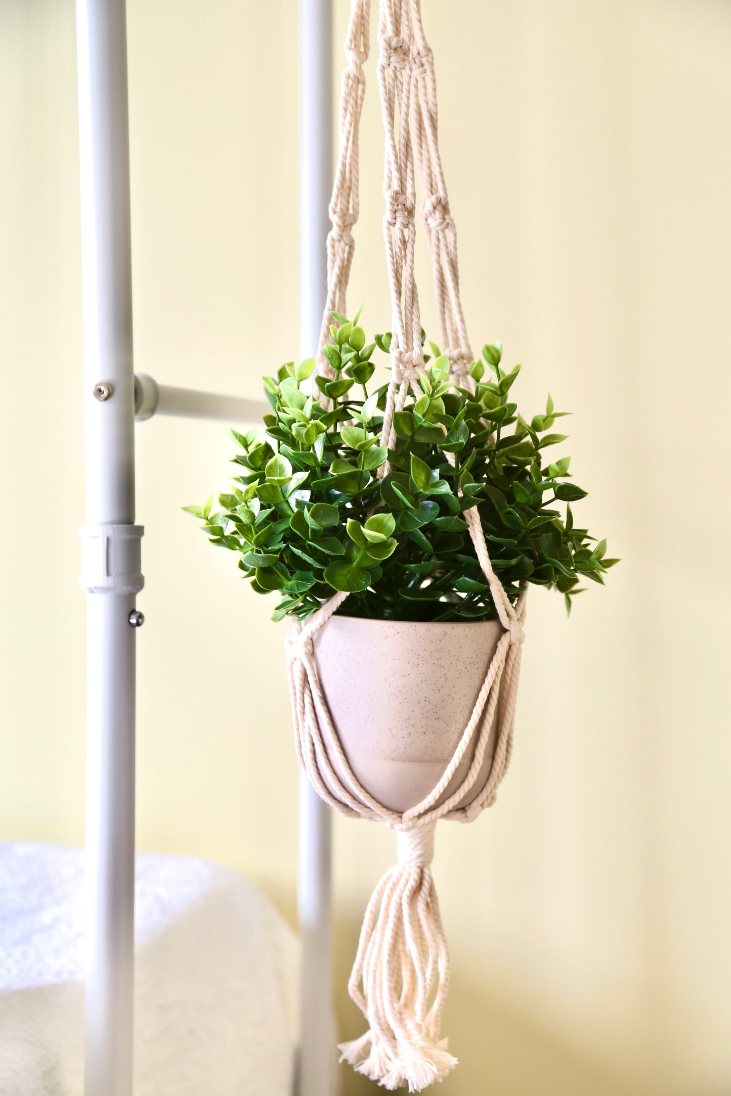 Macrame Plant Holder - D