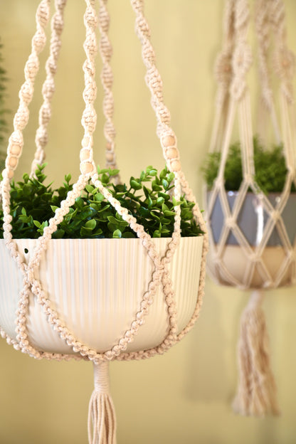 Macrame Plant Holder - F